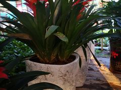 -朱古力纯K量贩式KTV(国庆中路店)