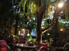 -Fern Forest Cafe