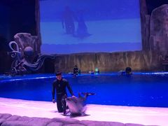 -华夏文旅海洋公园