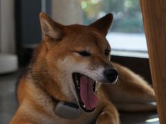 -NOTBAD 须时·咖啡馆
