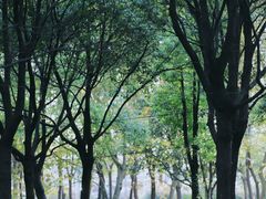 -嘉北郊野公园