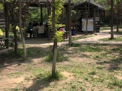 -杨柳青庄园