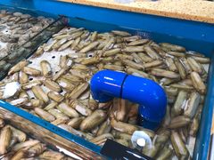 -海贡平价海鲜超市
