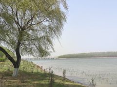 -丁香湖公园