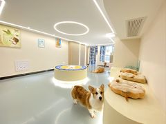 -奶牛家宠物酒店(嘉宏云顶店)