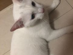 -五台山游泳馆