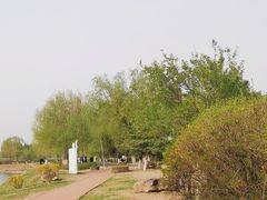 -丁香湖公园