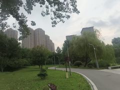 -洋湖国家湿地公园