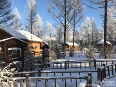 -桃山森林冰雪玉温泉