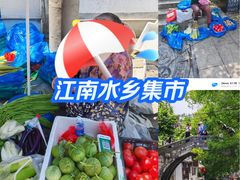 -练塘古镇