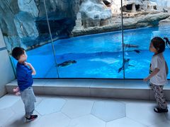 -帝企鹅自助餐厅•儿童岛•真企鹅(长隆企鹅酒店)