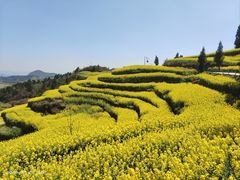 -牛街螺丝田