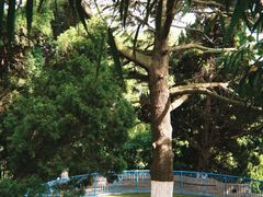 -青岛德国总督楼旧址博物馆