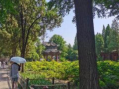 -洛阳白马寺