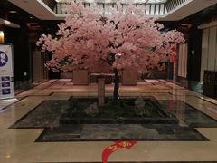 -添赐温泉馆(上南路店)