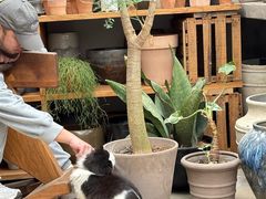 -自由生长植物工作室(深港花卉中心店)