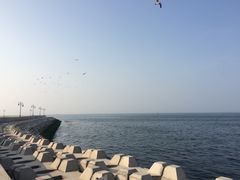 -东港音乐喷泉广场