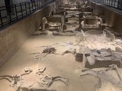 -洛阳周王城天子驾六博物馆