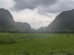 -靖西鹅泉风景区