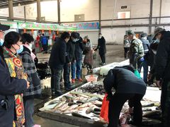 -韩家墅海吉星农产品批发市场