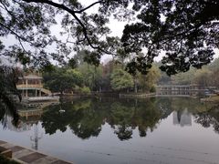 -晓港公园