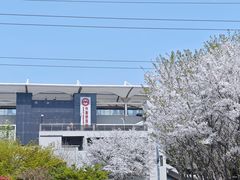 -外高桥保税区南(地铁站)