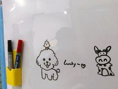 -暖阳宠物医院·犬猫康复中心·骨科