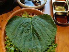 -壹兆炭火烧肉·烤鳗鱼(金水花城店)