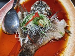 -曼格纳·曼芯馆(杨浦店)
