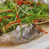 汕头美食| 房东带你吃汕头 - 潮生餐厅