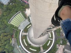 -东方明珠广播电视塔