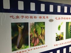 -上海昆虫博物馆