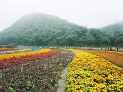 -广州市石门国家森林公园