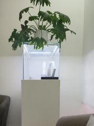 -Dr.U博士医疗美容医院