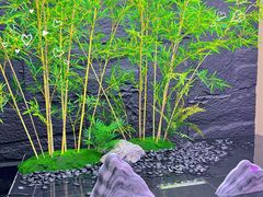 -宫七SPA·高端Massage(浦东大道店)