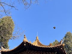 -西安碑林博物馆