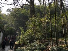 -杭州黄龙洞