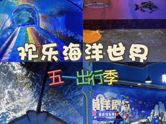 -重庆欢乐海底世界