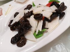 -丁老爷子苏香圆