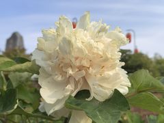 -洛阳市隋唐城遗址植物园