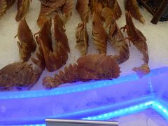 -澜悦港海鲜体验主题餐厅