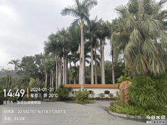 -深圳仙湖植物园