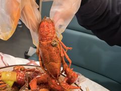 -小田油焖小龙虾(双井店)