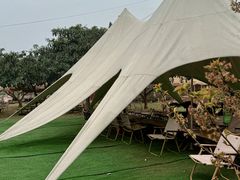 -桃源山庄·水蜜桃采摘·柴火鸡·烧烤团建(龙泉山店)
