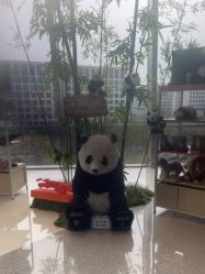 -IMON·HANSA潮玩玩偶毛绒玩具(通州万象汇店)