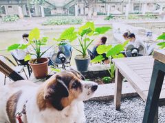 -喜洲吧·江畔老船厂·庭院餐厅(喜临院店)