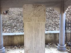 -白水寺森林公园