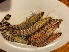 野生大斑节虾-凯华海鲜火锅·传承三十六年