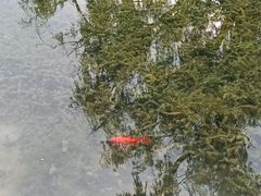 -成飞公园