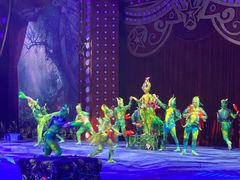 -珠海横琴长隆《卡卡虎奇遇记》